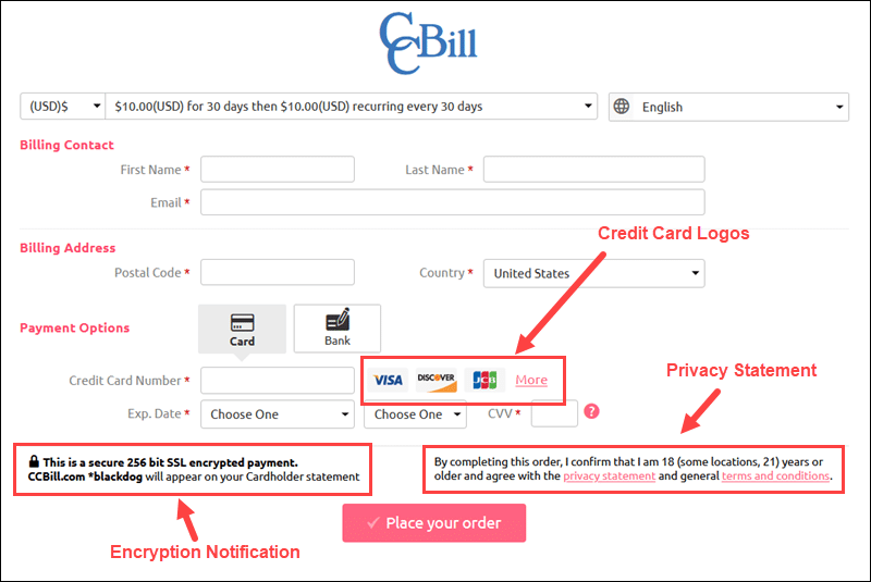 Credit card logos and security messages on payment form.