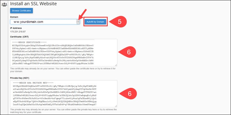 Autofill private key and SSL certificate based on domain.