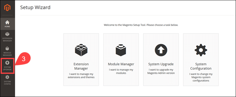 System Upgrade menu in Magento Web Setup Wizard.