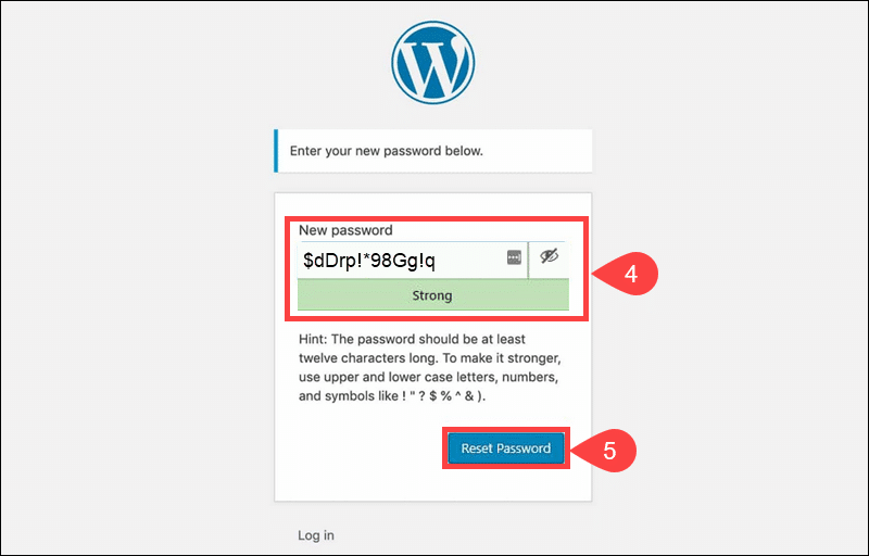 Enter new WordPress password on password reset screen.