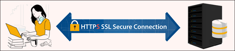 HTTPS SSL ecrypted communication.