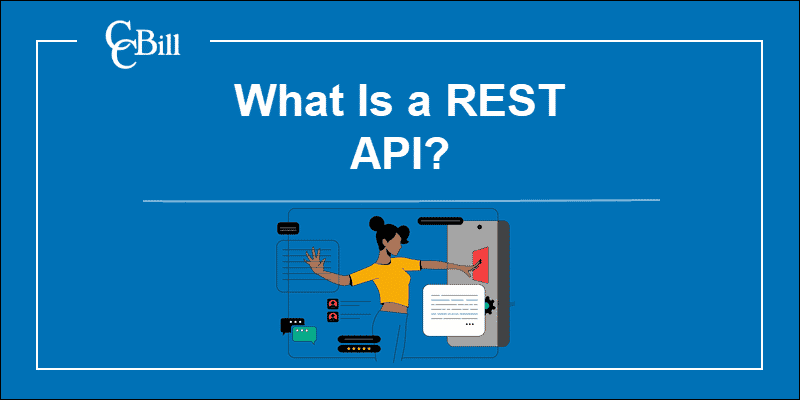 Developing RESTful API.
