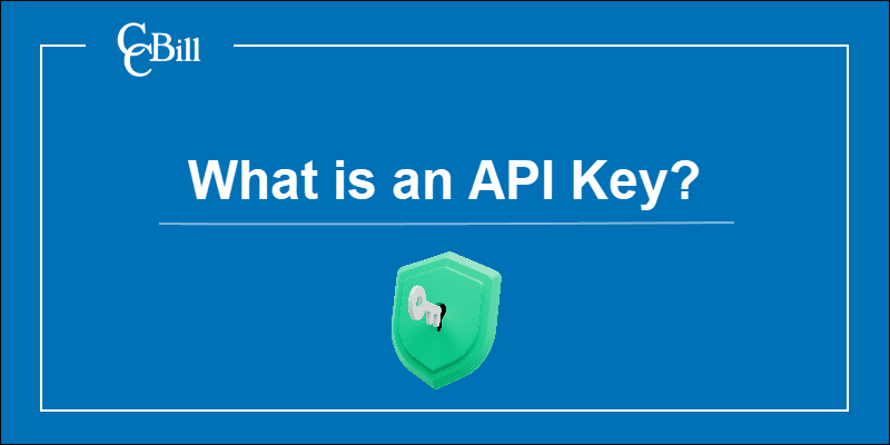An API key being used to make an API call.