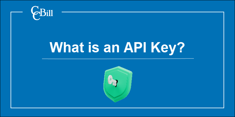 What Is An API Key Definition Use Cases Best Practices 