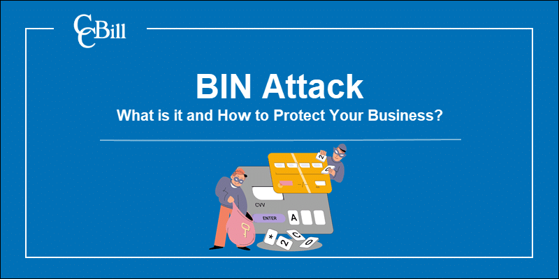 BIN attack attempt where attackers try to guess the customer's credit card number.