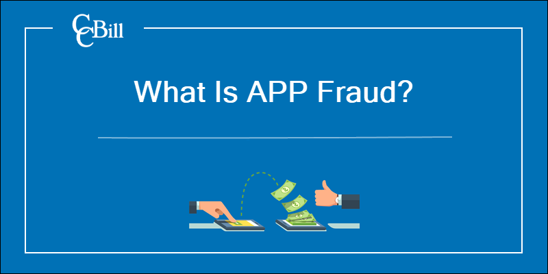 What is APP fraud?