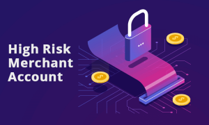 High Risk Merchant Accounts – All You Need to Know
