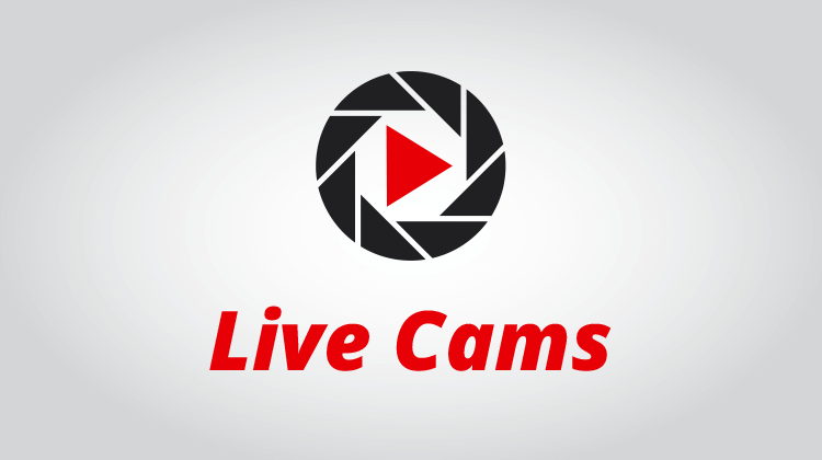 Living cam live. Live webcam. Best webcam sites.