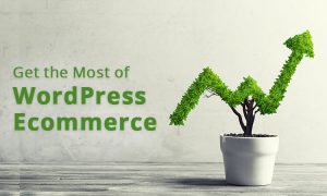 Get the Most of WordPress Ecommerce