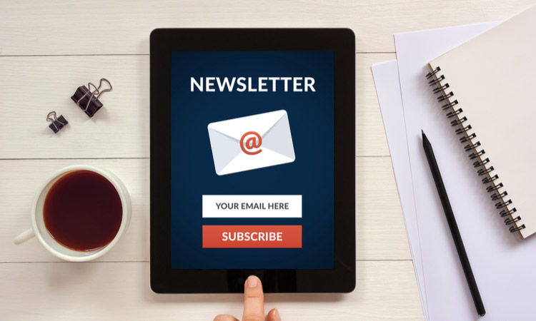 Ecommerce Newsletter Email