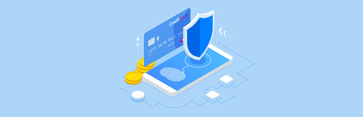 Ecommerce security
