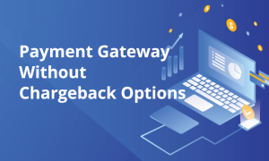 Payment Gateway Without Chargeback Option for High Risk Merchants