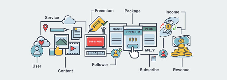 Features of the subscription business model.