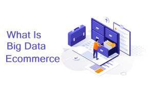 What is Big Data Ecommerce